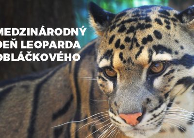 Medzinárodný deň leoparda obláčkového