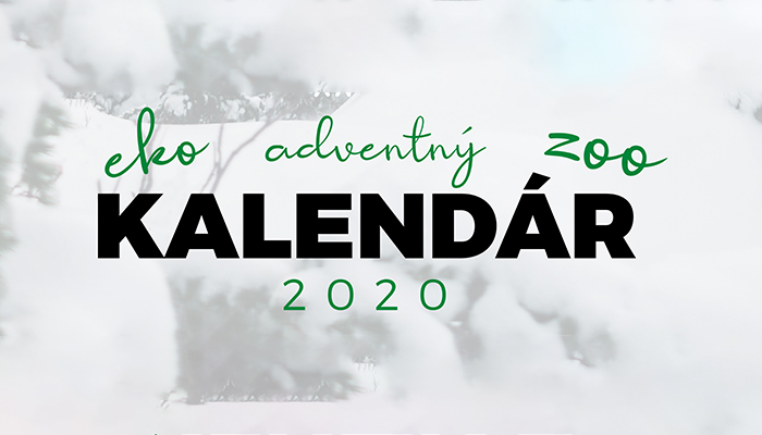 Adventný ZooEkoKalendár