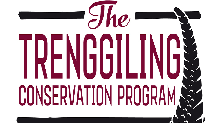 Záchranný program „Trenggiling Conservation Program“