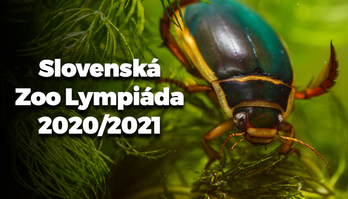 Zoolympiáda 2020/2021
