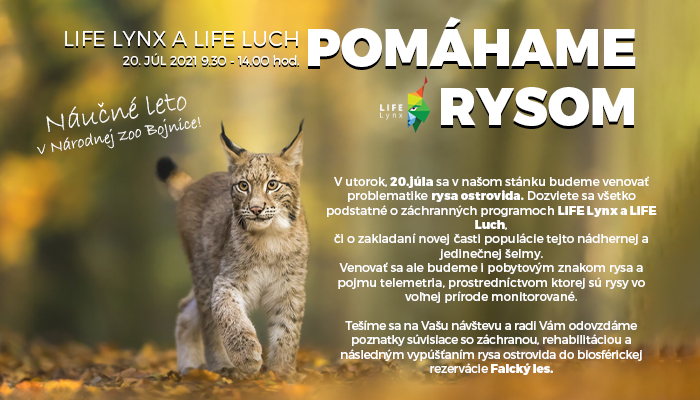 Pomáhame rysom – LIFE Lynx a LIFE Luch