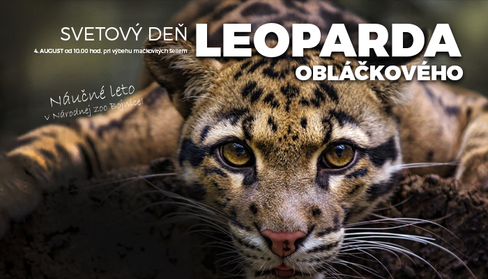 Svetový deň leoparda obláčkového