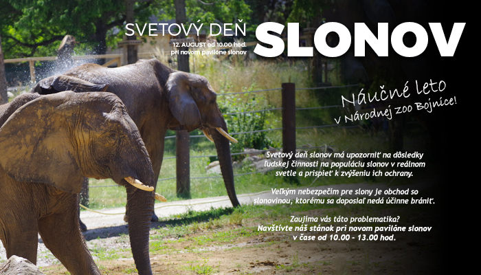 Svetový deň slonov