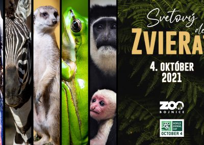 Svetový deň zvierat a Medzinárodný deň ošetrovateľov je za dverami, oslávime ho v zázemí bojnickej zoo!