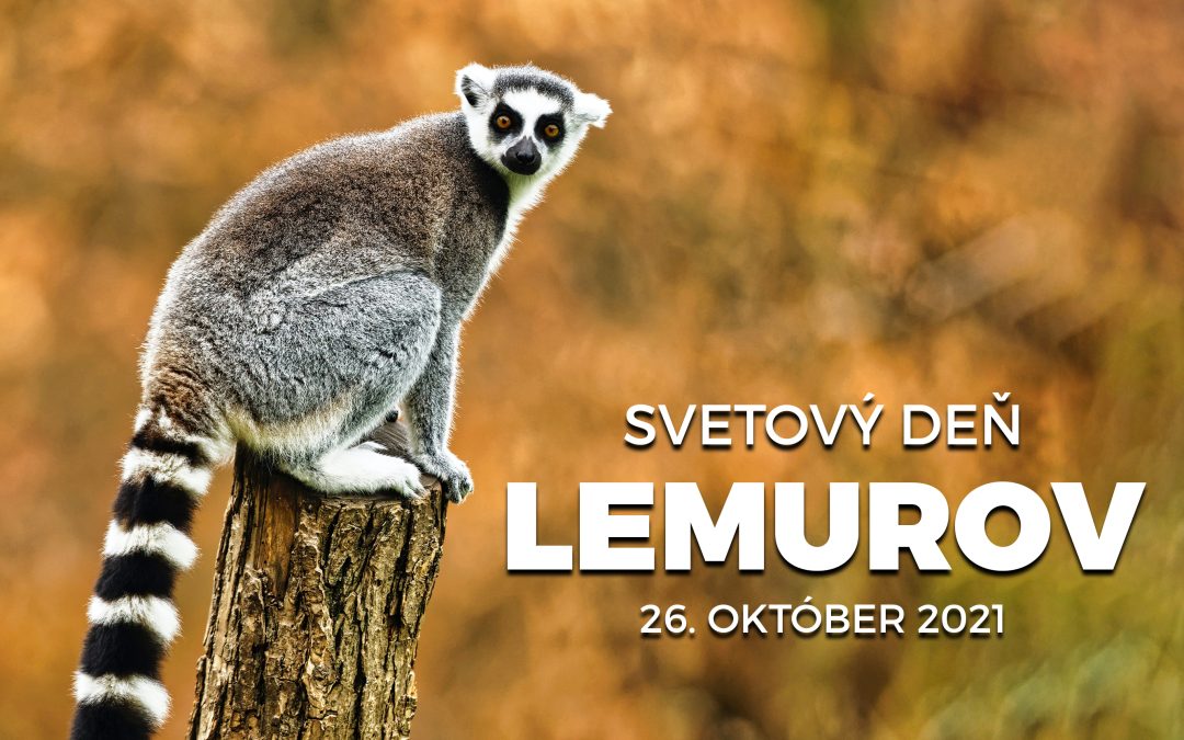 Svetový deň lemurov