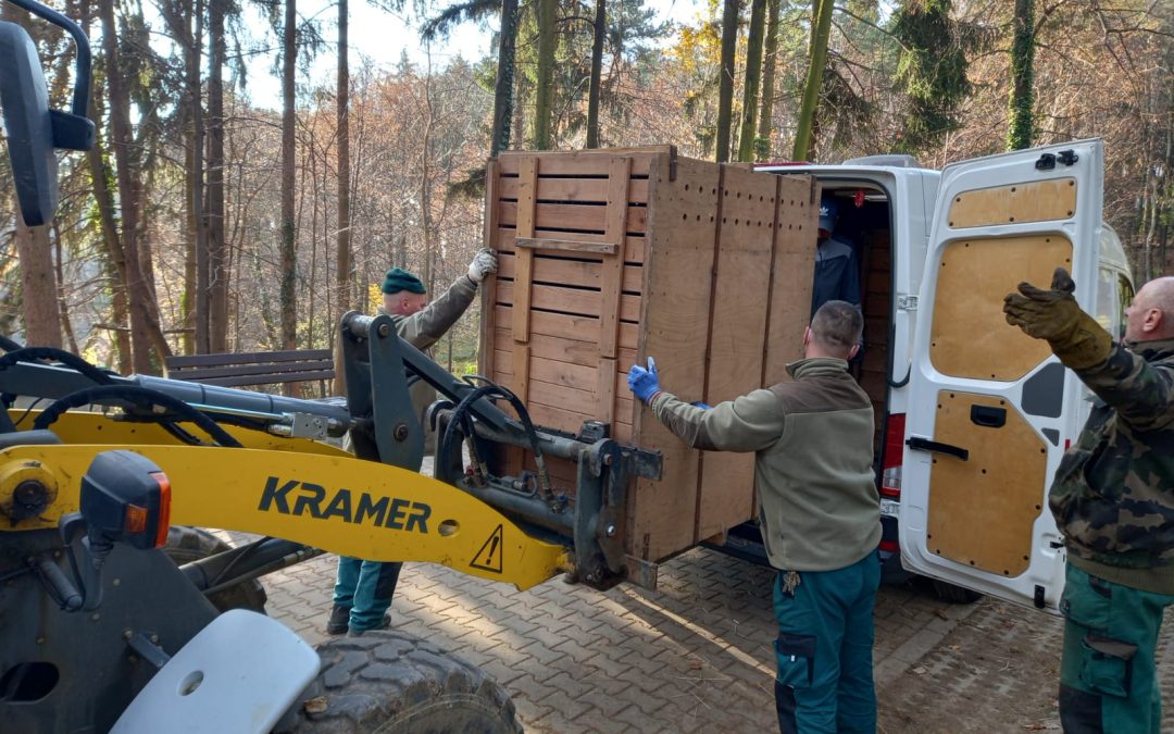 Transport kopytníkov