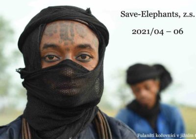 Nezisková organizácia Save-Elephants, ktorá spolupracuje s Národnou zoo Bojnice, zaznamenala v priebehu kalendárneho roka 2021 veľký progres