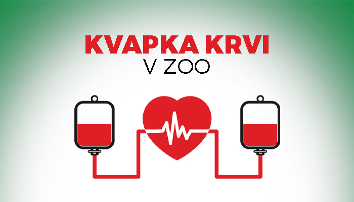 Kvapka krvi v zoo