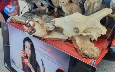 Na oslavách MDD nechýbala ani výprava Národnej zoo Bojnice!