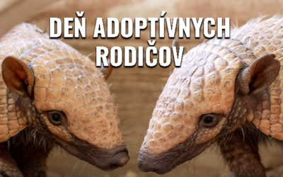 Deň adoptívnych rodičov