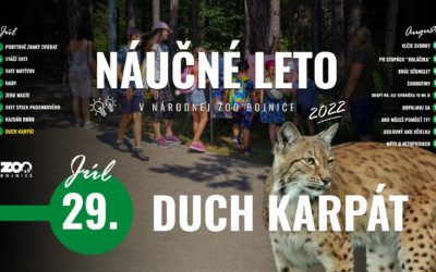 Duch Karpát