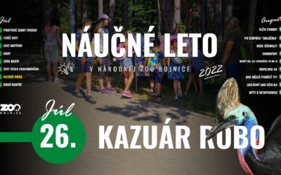 Predposlednou júlovou témou Náučného leta bude kazuár veľkoprilbý