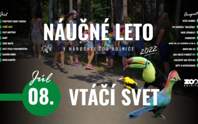 Ďalšou témou v rámci Náučného leta bude vtáčí svet!