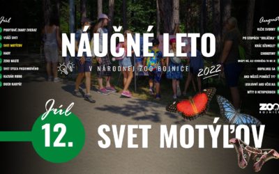 V rámci náučného leta sa pozrieme na svet motýľov!