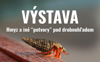 Výstava