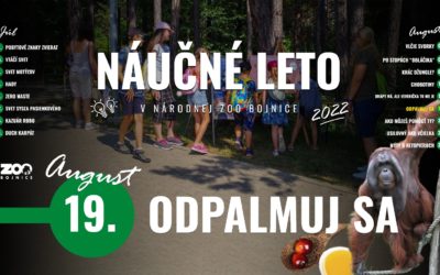 „Odpalmuj sa“ je ďalšia téma Náučného leta 2022