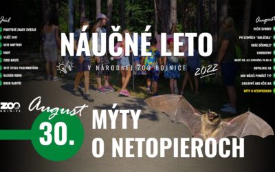 Bodku za „Náučným letom“ dajú Mýty o netopieroch!