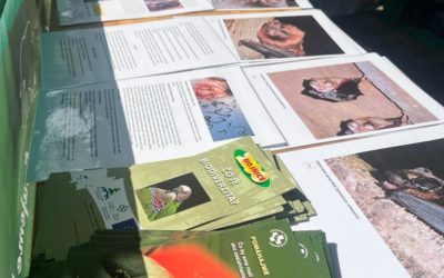 Mýty o netopieroch ako posledná téma „Náučného leta“