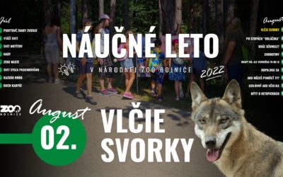 Vlčie svorky