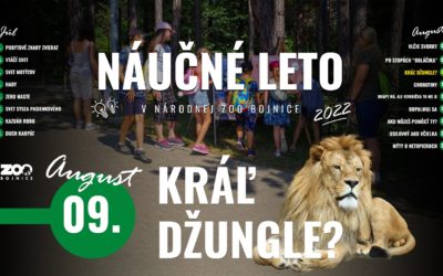 Náučné leto ovládne kráľ džungle