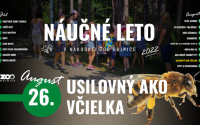 Náučné leto 2022 – Usilovný ako včielka