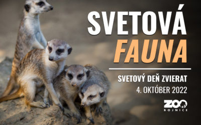 V mesiaci október si pripomíname viacero svetových dní