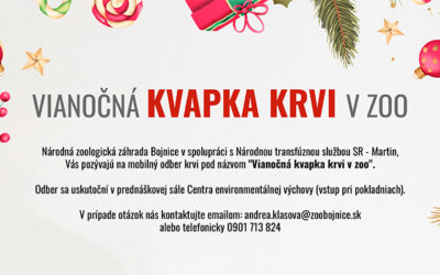 Vianočná kvapka krvi v zoo