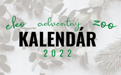 Adventný zoo-eko-kalendár 2022