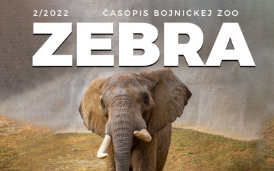Časopis Zebra 2/2022