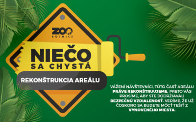 Rekonštrukcia areálu
