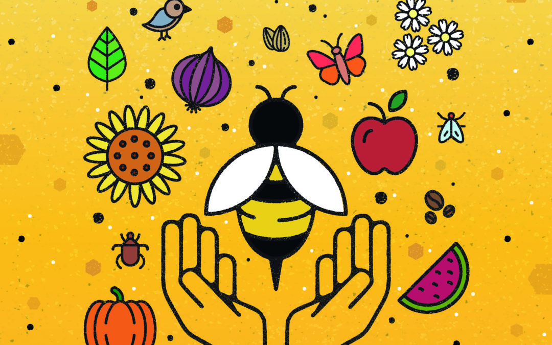 Včely majú zásadný význam pre ekosystém i potravinovú bezpečnosť