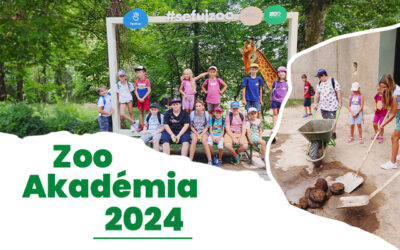 Prihlasovanie na Zoo Akadémiu 2024