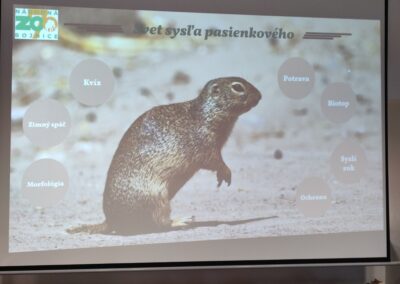 Januárový zookrúžok na tému Svet sysľa pasienkového