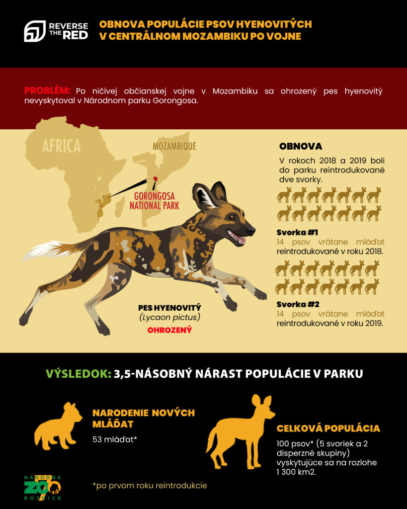 Infografika Reverse the red - pes hyenovitý