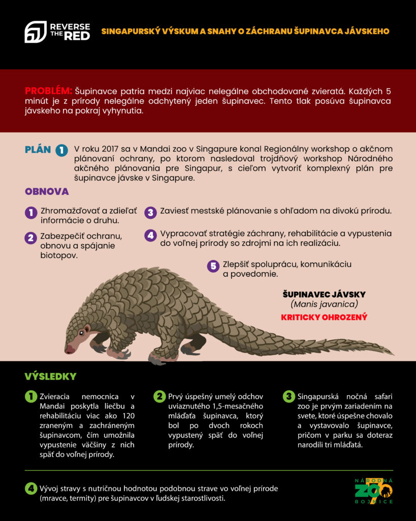 Infografika Reverse the red - šupinavec jávsky