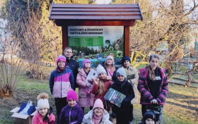 Ústrednou témou februárových zookrúžkov sú mokrade