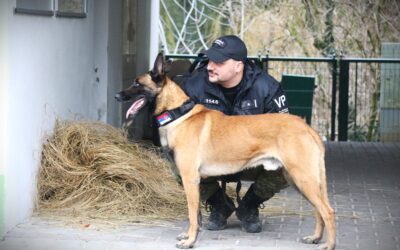 VIDEO Cvičenie psovodov a psov v špeciálnej kynológii